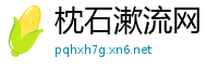 枕石漱流网